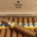 Cohiba | Ámbar