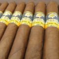 Cohiba | Coronas Especiales