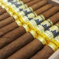 Cohiba | Panetelas