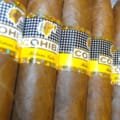 Cohiba | Pirámides Extra