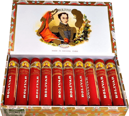 Bolivar | Royal Coronas