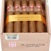 H. Upmann | Connossieur A