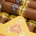 Montecristo | Wide Edmundo