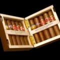 Habanos Selección Petit Robustos