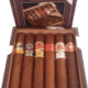 Habanos Selección Robustos